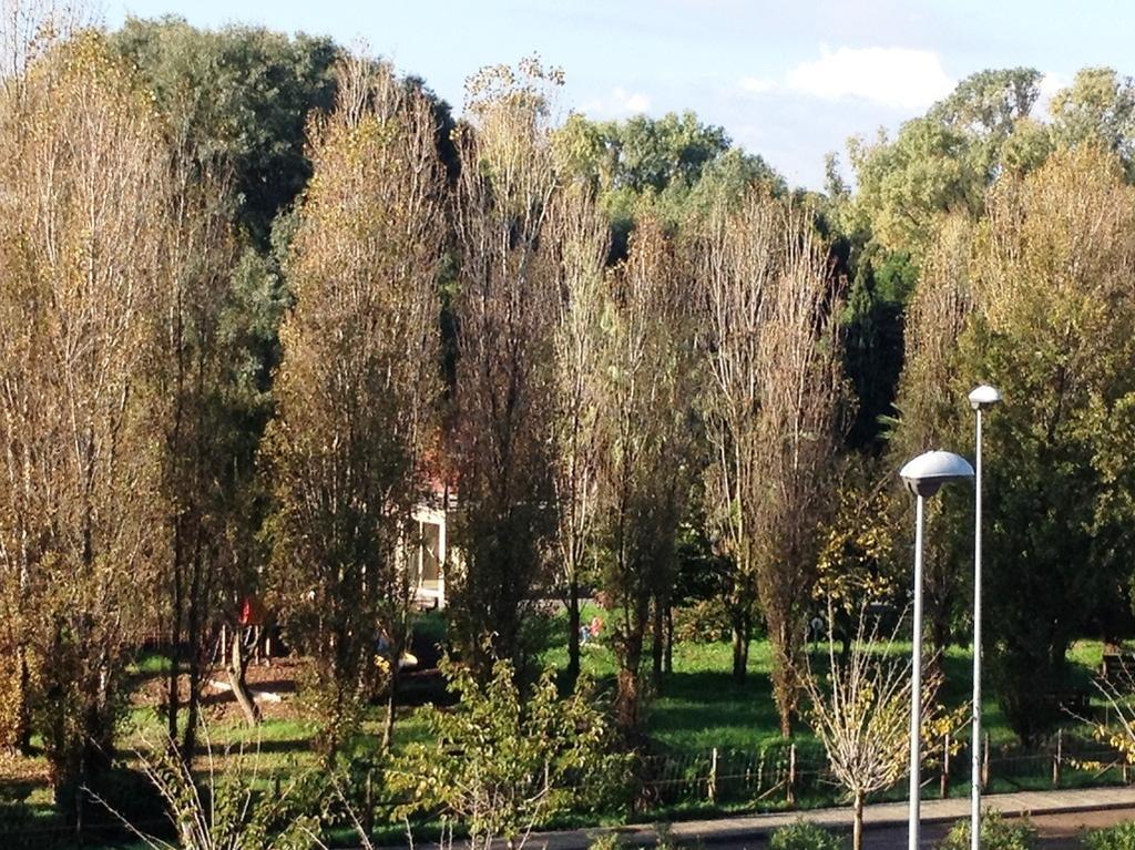 Regina Apartments 알게로 객실 사진